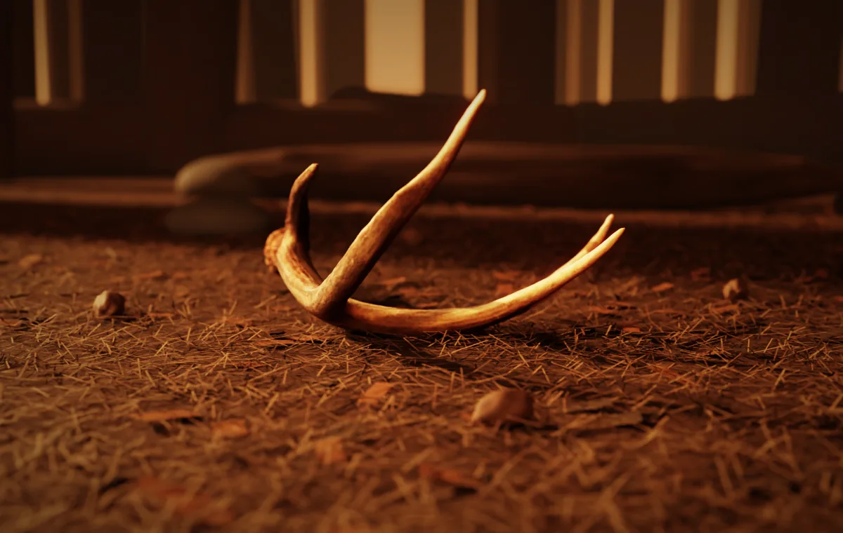 A naturally shed antler lying on a Pacific Northwest forest floor in late golden light, rendered from our 3D scan.