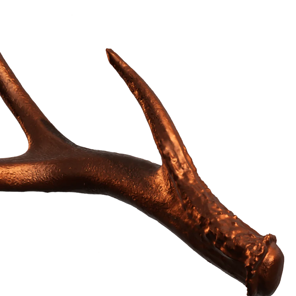 Close view of the finished metal surface along the antler's burr and main beam.